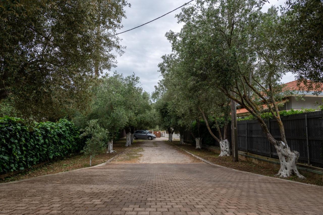 Studio De Bosset Argostoli  Exteriör bild